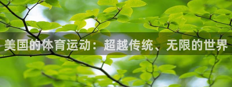 悟空体育app官方网站：美国的体育运动：超越传统、无限的世界