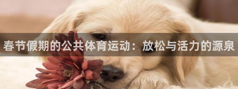 悟空体育是正品吗：春节假期的公共体育运动：放松与活力的源泉