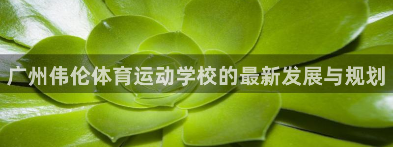 悟空体育网站官网入口手机版：广州伟伦体育运动学校的最新发展与规划