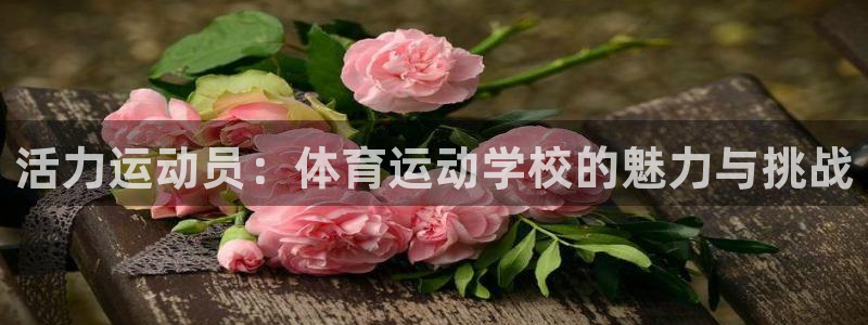 悟空体育是正品吗：活力运动员：体育运动学校的魅力与挑战