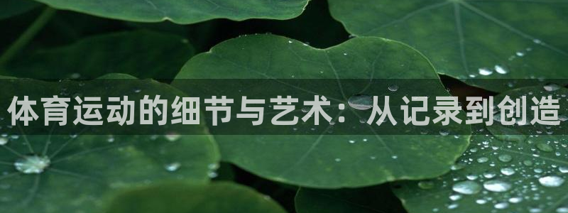 悟空体育app：体育运动的细节与艺术：从记录到创造